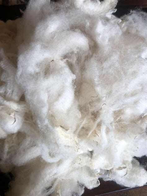 Sheepsanctuary, Raw Wool, 200g, Ethical Wool, Rescued Sheep Wool, Natural Washed Wool, Felting ...