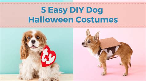 5 Easy Dog Halloween Costumes - Charleston Dog Walker