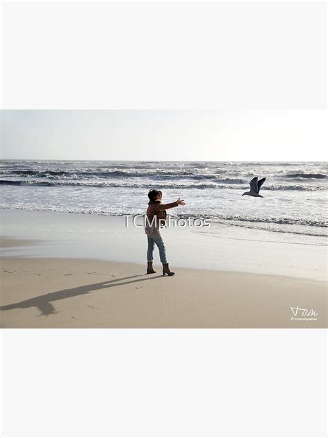 Gabians Gulls Camargue Nature Beach Fine Sand Dunes Poster For