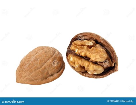 walnut  shell stock image image  closeup vitamin