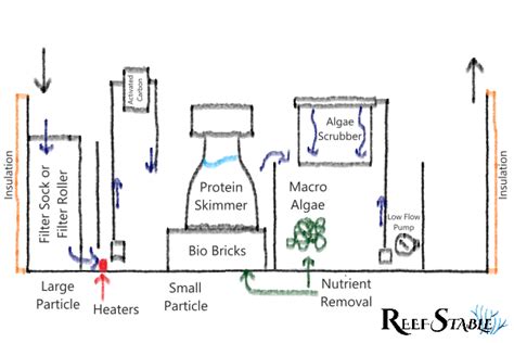 How to Design a Reef Tank Sump