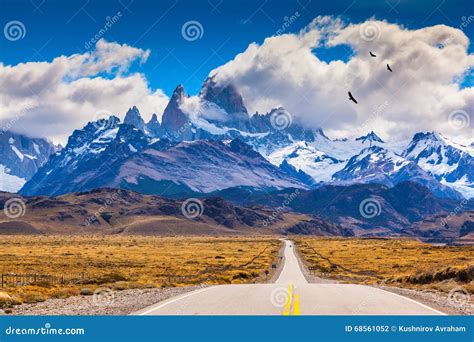 Andean Condors Fly In Parque Nacional Torres Del Paine, Chile Royalty-Free Stock Image ...