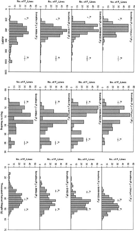 Frequency Distribution For Area Under Disease Progress Curve Audpc