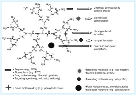 Schematic Diagram Showing Different Strategies Of Dendrimer Drug