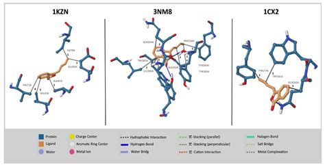 Molecules Free Full Text Determination Of Chemical Composition In