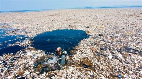 Descubre las Islas de Plástico Origen y Formación eco360