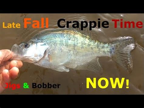 Late Fall Crappie Fishing With Jigs December East Tennessee From The