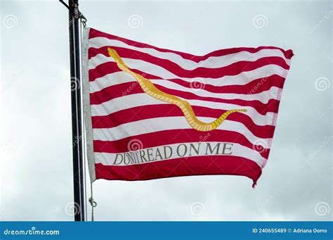 Don`t tread on me flag editorial stock image. Image of rattlesnake ...