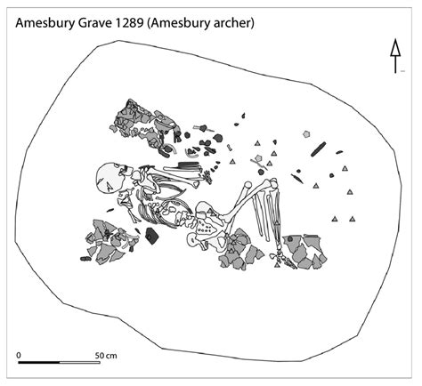 Amesbury grave 1289 (Amesbury Archer). Courtesy of A. Fitzpatrick ...