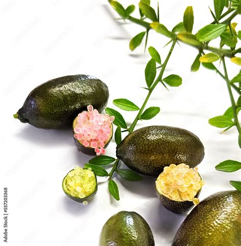 Edible Fruits Of Citrus Australasica The Australian Finger Lime Or