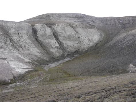 Oldest DNA Reveals Life In Greenland 2 Million Years Ago