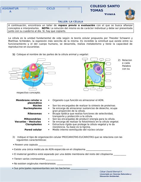 Taller La Célula Taller La CÉlula A Continuación Encontrara Un Taller De Repaso Previo A