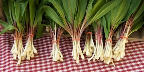 Ecocentric Real Food Right Now And How To Cook It Ramps The Humble