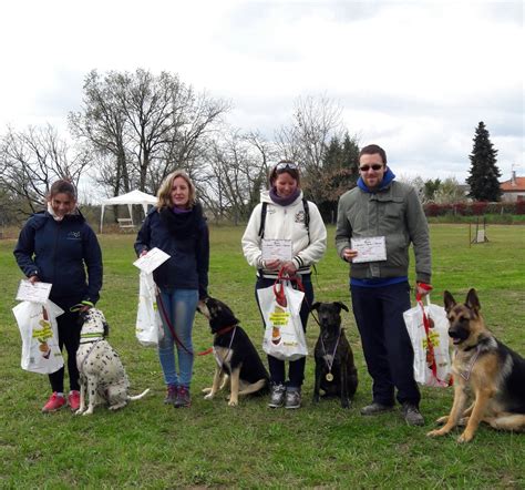 Stage Canin De Pr Paration Aux Certificats Centre D Ducation Canine Albi