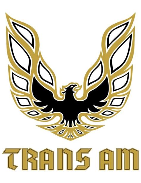 Pontiac Firebird Trans Am Gold Bird LOGO (White Back) POSTER 24 X 36 ...