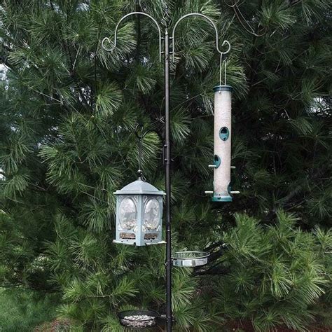 7 Best Bird Feeder Poles To Invite Feathered Friends