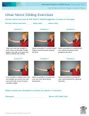 Ulnar Nerve Gliding Exercises for Occupational Therapy: Improve | Course Hero