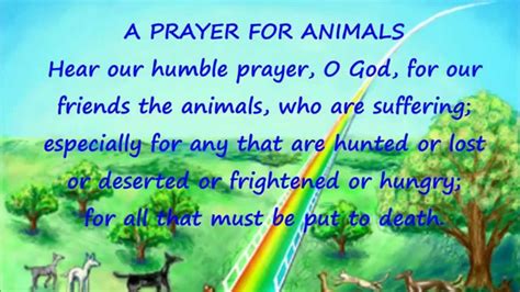 A Prayer For Animals Prayers Animals Interactive