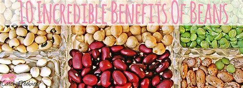 Incredible Benefits Of Beans -CatchyFreebies