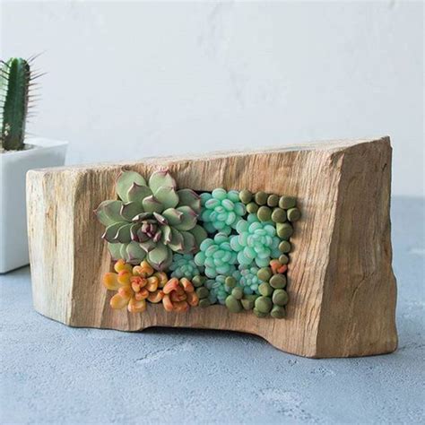 38 Indoor Succulent Display Ideas To Beautify Your Home Obsigen