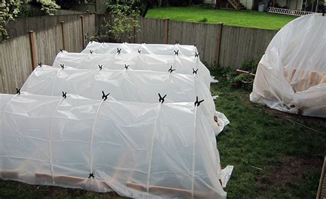 Best Greenhouse Plastic: Some Sturdy Solutions | Epic Gardening