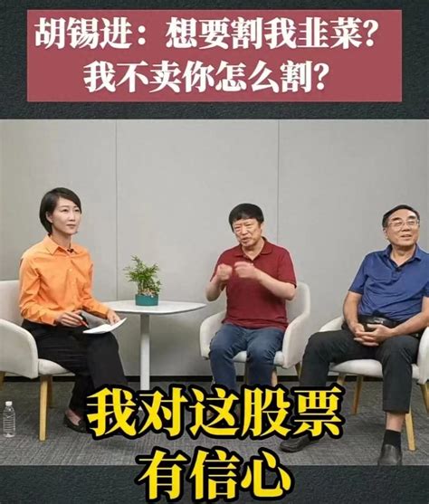 胡锡进炒股名言火了：我不卖，你怎么割我？中金在线财经号