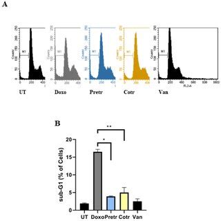 Effect Of Vanillin On Caspase 3 And PARP1 Activation A Western Blot