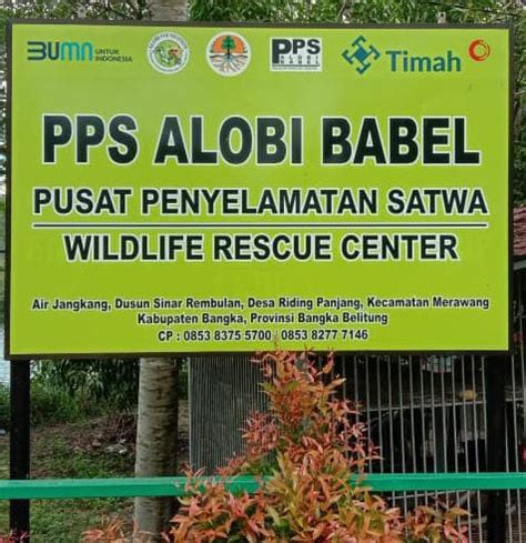 2 5 Tahun Berdiri PPS ALOBI Air Jangkang Bersama PT Timah Telah