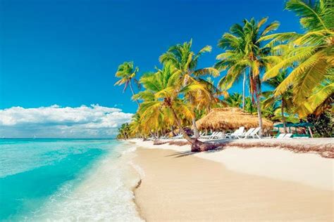 Excursión A Isla Saona Desde Punta Cana En Catamarán Civitatis