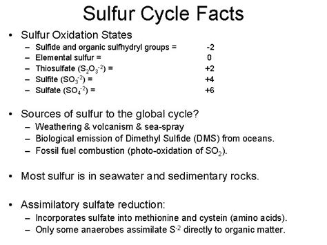 Sulfur Cycle Facts Sulfur Oxidation States Sulfide and