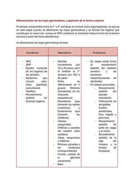 Diferenciación De Las Hojas Germinativas Y Aparición De La Forma Corporal Chemnotes By Dm