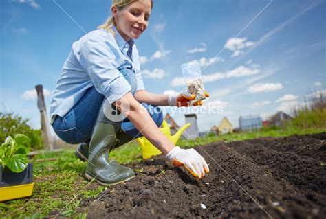 Image Of Female Farmer Sowing Seed In The Garden Royalty Free Stock