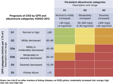 Kdigo 2020 Clinical Practice Guideline For Diabetes Management In