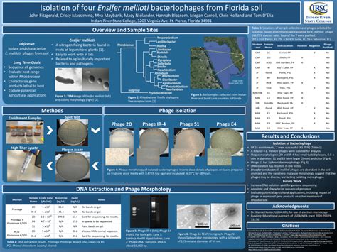 Pdf Isolation Of Four Ensifer Meliloti Bacteriophages From Florida Soil