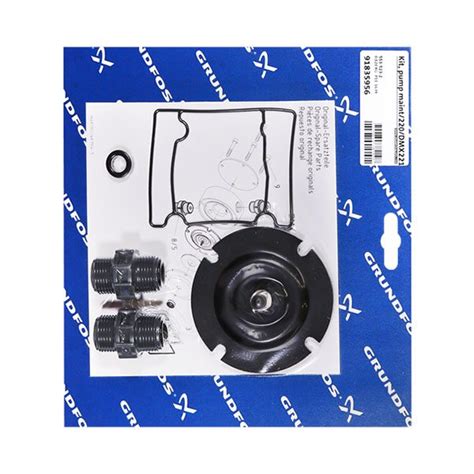 Ktechs Grundfos Valve And Diaphragm Kit For Dosing Pump