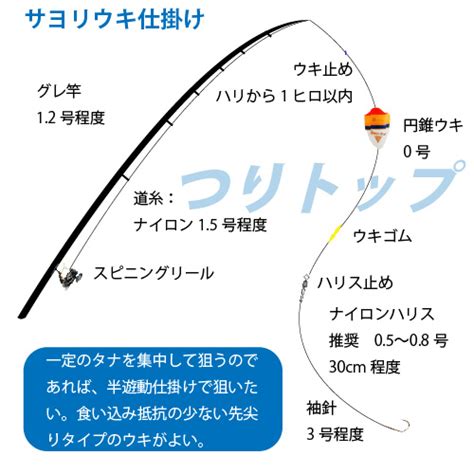 【秋の堤防で釣りたい！】サヨリの仕掛けと釣り方 釣り情報サイトルアー、堤防釣り、仕掛け、釣り方