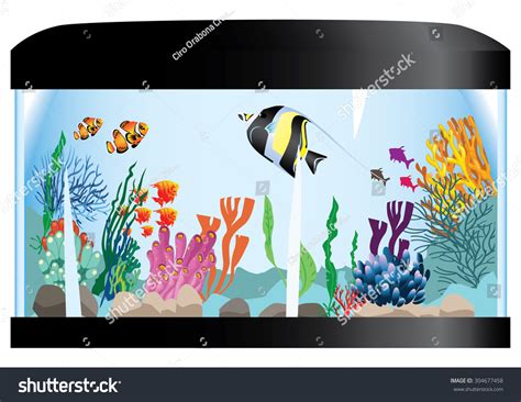 Aquarium Stock Vector (Royalty Free) 304677458 | Shutterstock