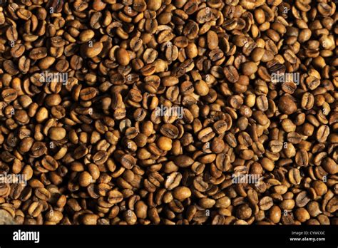 raw coffee background stock photo alamy