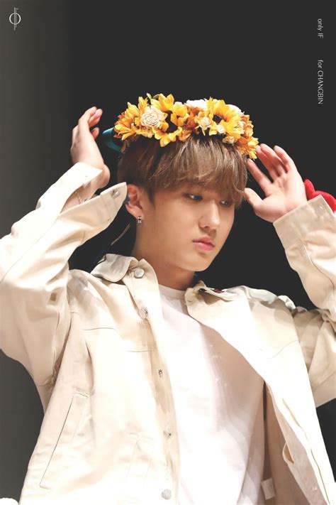 Changbin Stray Kids Changbin Stray Kids Stray