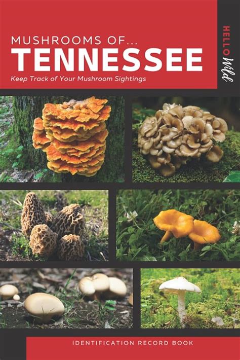 Common Mushrooms In Tennessee A Guide To Shapes Sizes And Colors