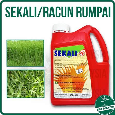 CP Sekali 4 Liter Glyphosate Isopropylammonium 13 6 Herbicide Same As