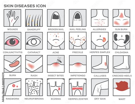 Skin Diseases Icon Stock Vector Adobe Stock