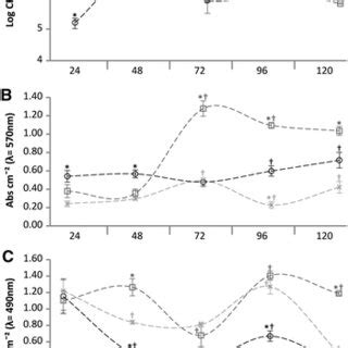 Candida tropicalis biofilm characterization; a number of culturable ...