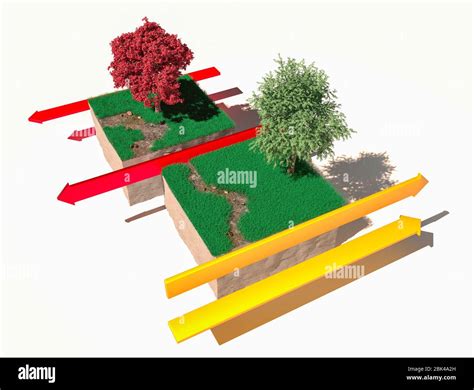 16+ Transform Boundary Diagram - CassiAslam