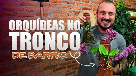 Orquídea no TRONCO DE BARRO Descubra como Plantar e ter muitas flores