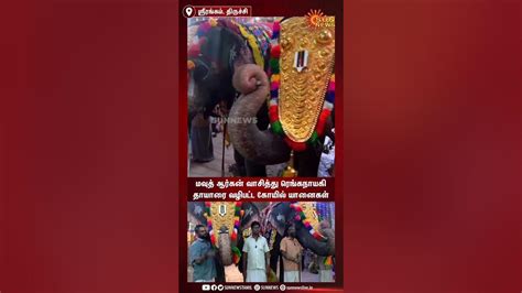 Elephant Plays Mouth Organ மவுத் ஆர்கன் வாசித்து ரெங்கநாயகி தாயாரை