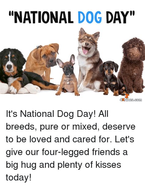 National dog day Memes