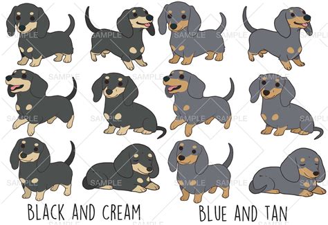 Dachshund Clipart Vector Svg Eps Png Clip Art Commercial Use