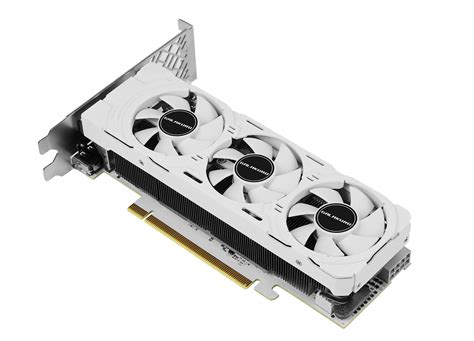 GALAX Unveils Low-profile GeForce RTX 4060 Graphics Card | TechPowerUp