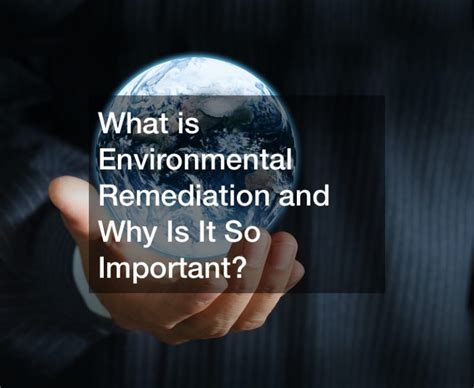 What Is Environmental Remediation And Why Is It So Important Sales